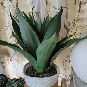 Faux Plant